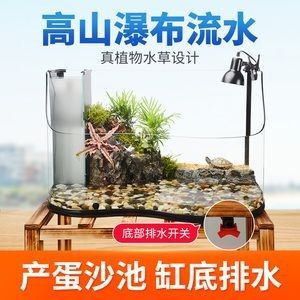 不用打理的鱼缸造景方法有哪些:不用打理的鱼缸造景方法