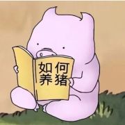 可爱养猪情侣卡通头像