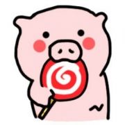 呆萌猪头像图片，超可爱的猪猪图片