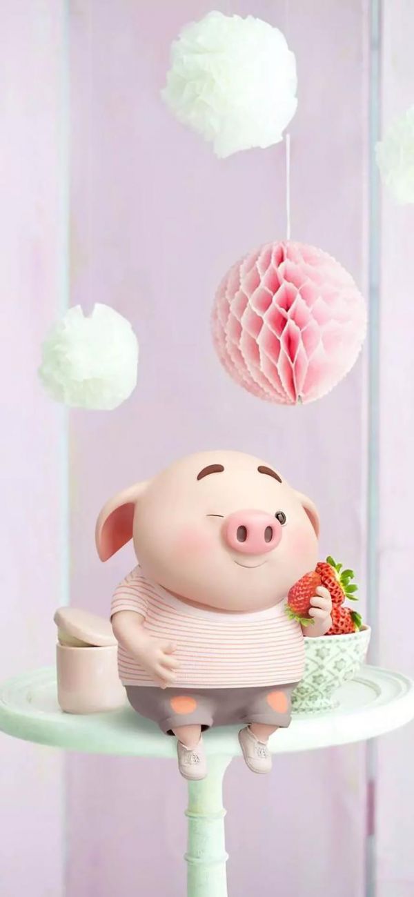 猪猪壁纸,可爱的猪猪壁纸(超萌,超可爱的小猪壁纸图片)