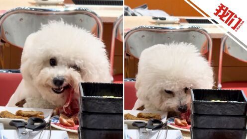 Thumbplayer Poster Plugin Image