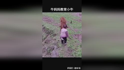 这人类幼崽真可爱