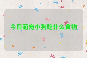 今日萌宠小狗吃什么食物