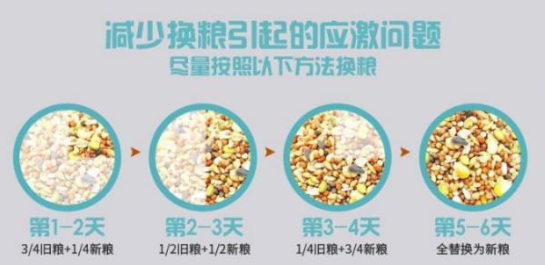 贝特赫斯仓鼠粮：为小宠定制的科学膳食