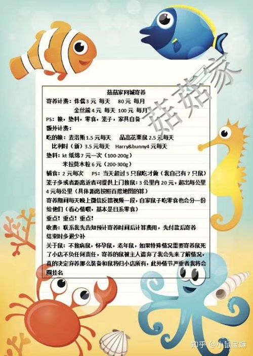 宠物店寄养仓鼠多少钱 宠物仓鼠怎么养