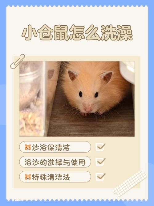 可以给小仓鼠洗澡吗，仓鼠爱干净，别用水洗，浴沙是关键！