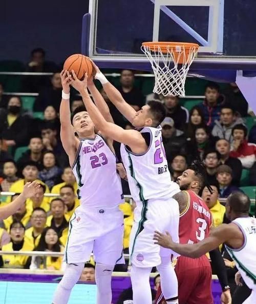 老哈喂养指南（为您的宠物打造健康饮食）