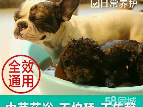 锡林浩特市鸿沃宠物店·宠物药浴SPA