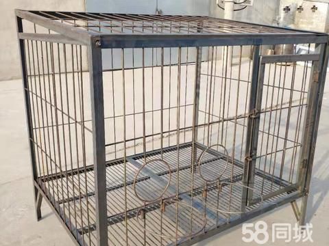 北京宠物用品/食品·全新狗用品价格480