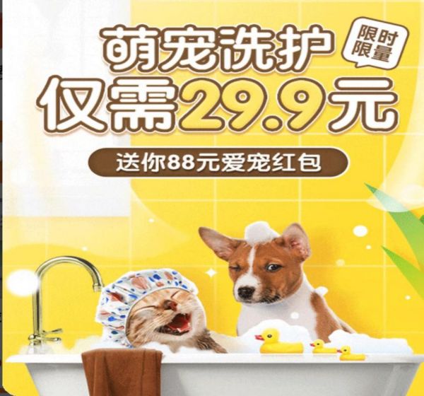 撸宠优惠券：萌宠洗护