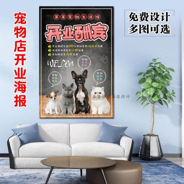 宠物店开业海报洗澡美容充值会员促销活动微信朋友圈广告设计宣传