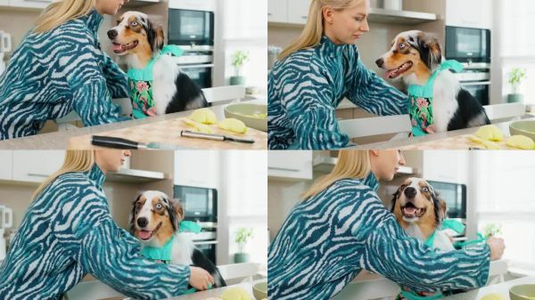 色彩缤纷的烹饪合作:金发女郎和她的澳洲牧羊犬一起做饭，都穿着鲜艳的衣服