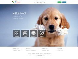 阳光助力宠物健康活力