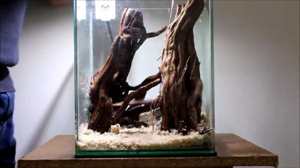 鱼缸造景步骤讲解，很适合新手学习，草缸原来很简单