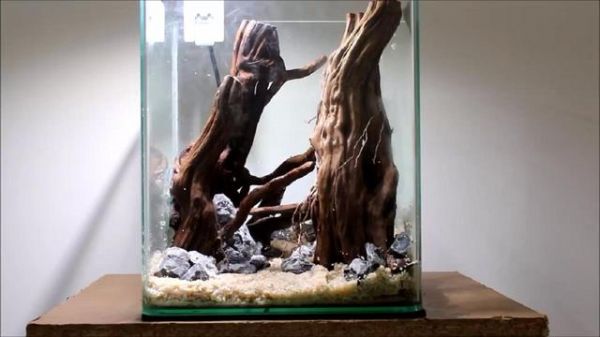鱼缸造景步骤讲解，很适合新手学习，草缸原来很简单