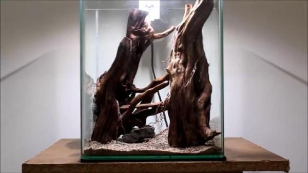 鱼缸造景步骤讲解，很适合新手学习，草缸原来很简单