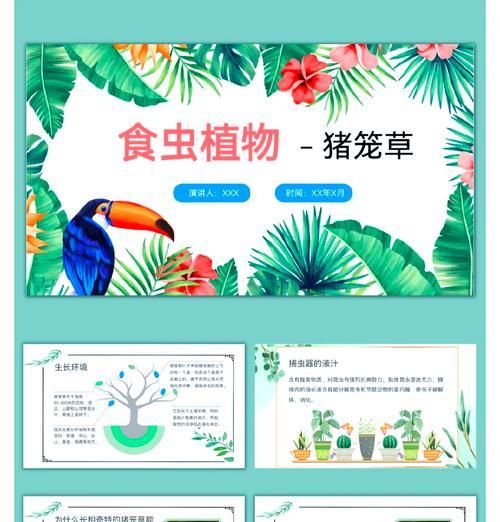 猪笼草的土壤选择和种植技巧是什么？