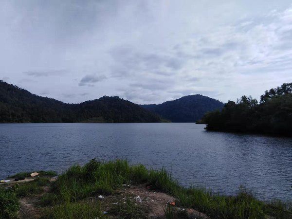 新西兰不准入境的物品,新西兰入境注意,新西兰入境申报