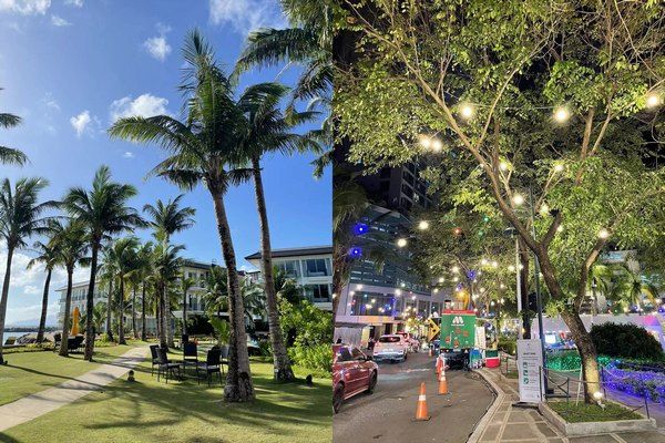 新西兰出入境秘籍,新西兰出入境攻略,新西兰出入境