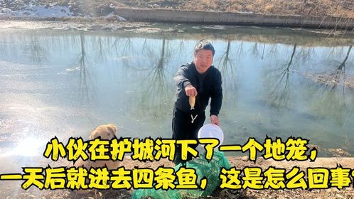 小伙在护城河下了一个地笼，一天后就进去四条鱼，这是怎么回事？
