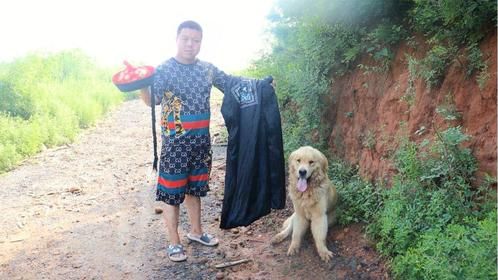 小虎等小吉配合他拍视频，金毛一顿臭骂让他醒悟，直接走人不拍了