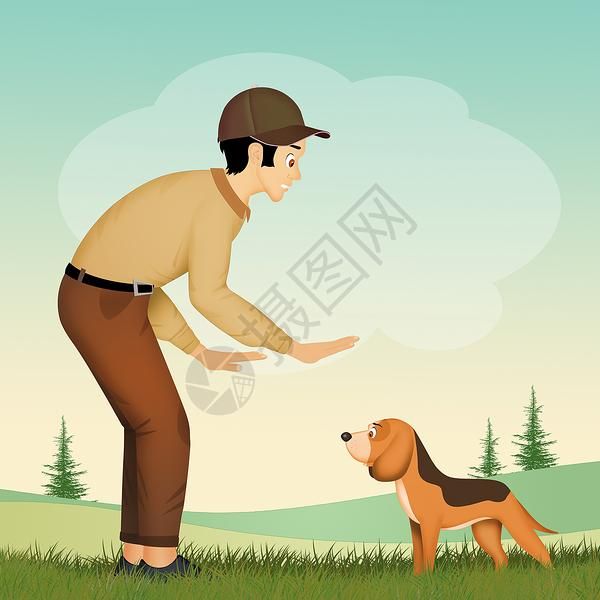 狗狗硕士培训高清图片