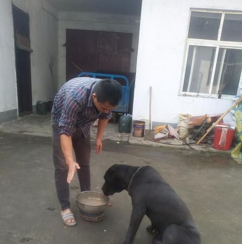 如何正确喂养卡斯罗新手指南（重点关注的注意事项和实用技巧）