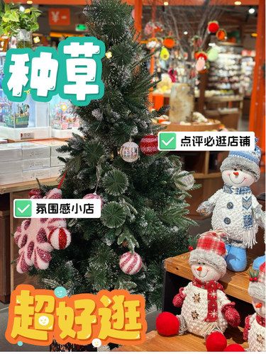 番茄口袋双旦购物季