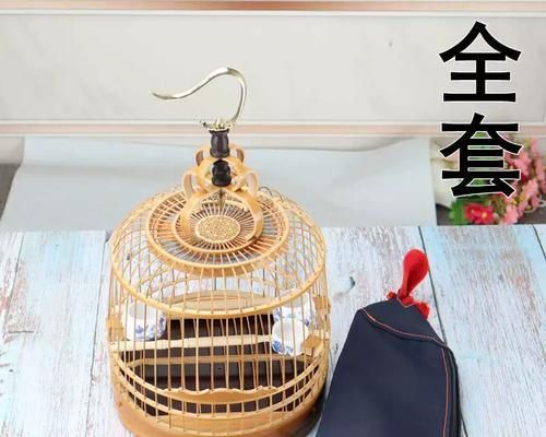 以黄雀鸟笼能养什么鸟？（探索黄雀鸟笼的适用鸟类种类及养殖要点）