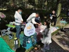 上海金山区宠物小动物流浪猫狗救助领养收容收养中心基地站