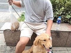 上海闵行区宠物流浪狗流浪猫小动物救助领养收容收养中心站