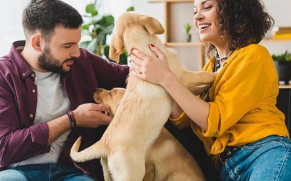 宠物医院春季预防活动来啦!萌动春天,户外更安心