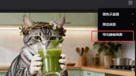 如何制作最近爆火的橘猫AI视频？手把手教你用AI做宠物视频