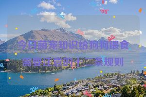 今日萌宠知识给狗狗喂食需要注意的十二条规则