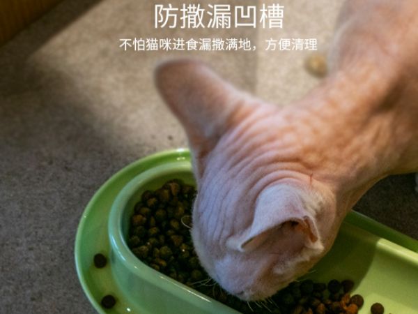浙江加厚猫碗工厂直销,猫碗
