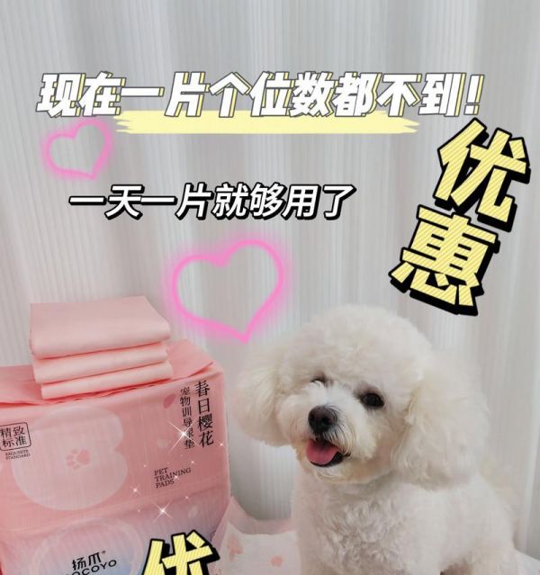 引导宠物狗在家小便的秘诀（从训练基础到应对特殊情况，让您的狗狗在家如厕更加轻松自如！）