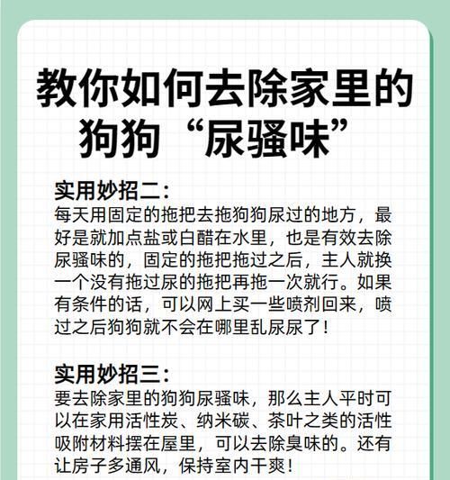 引导宠物狗在家小便的秘诀（从训练基础到应对特殊情况，让您的狗狗在家如厕更加轻松自如！）