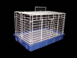 宠物笼子的作用及其使用技巧