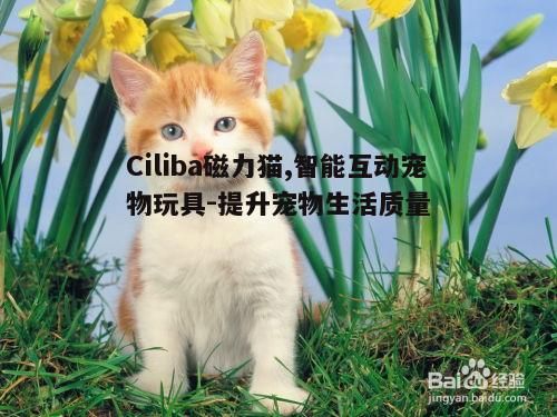 三、ciliba磁力猫与宠物心理