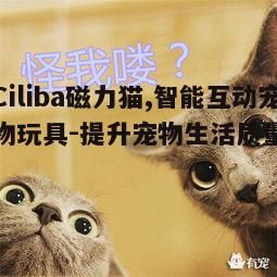 五、ciliba磁力猫在宠物日常生活中的应用