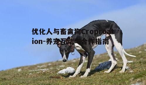 一、理解畜禽狗的行为特点