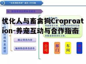 三、建立有效的训练和沟通机制