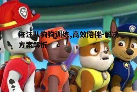 五、汪汪队的技能升级与维护