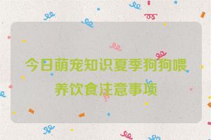 今日萌宠知识夏季狗狗喂养饮食注意事项
