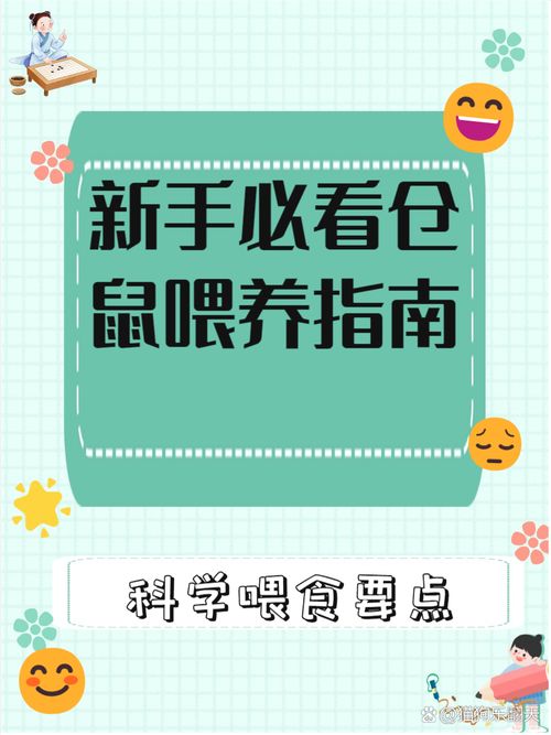 仓鼠每天都要喂食吗,分年龄科学喂养