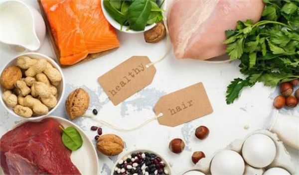 狗狗是杂食性动物,日常喂食,应当怎样合理搭配营养?