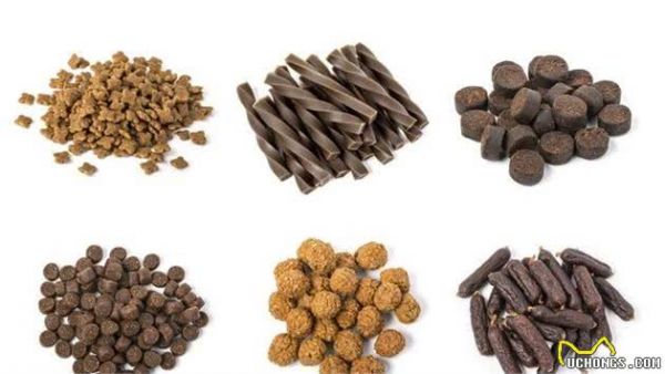 狗狗是杂食性动物,日常喂食,应当怎样合理搭配营养?