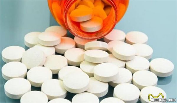 狗狗是杂食性动物,日常喂食,应当怎样合理搭配营养?