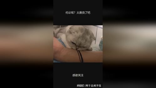 何必呢？太善良了吧