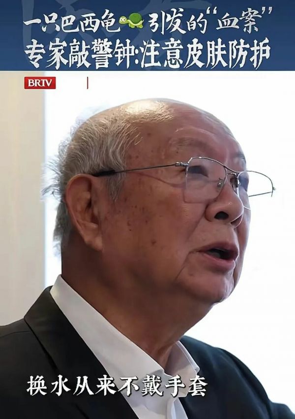 巴西龟换水不戴手套风险有多大？预防感染性肉芽肿的措施建议收藏